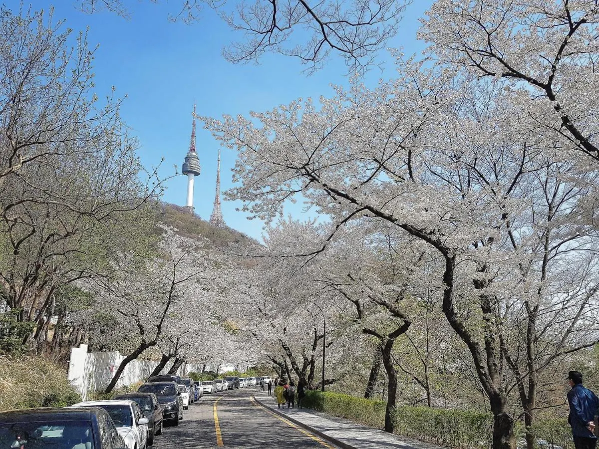 Namsan Guesthouse Seoul Hostel